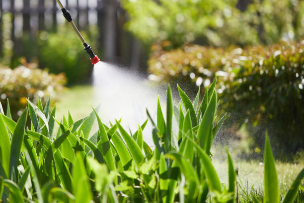 Tamper-Resistant Bait Stations for Rodents in Hardeeville