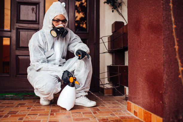 Attic and Crawl Space Rodent Treatment in Hardeeville