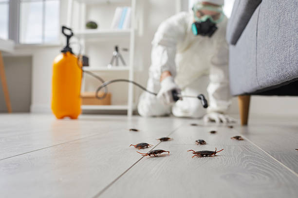 Commercial Rodent Management in Hardeeville